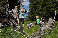 Alpenwelt Karwendel - Gästehaus Brigitta - Ferienwohnungen