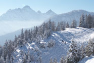 Alpenwelt Karwendel - Gästehaus Brigitta - Ferienwohnungen